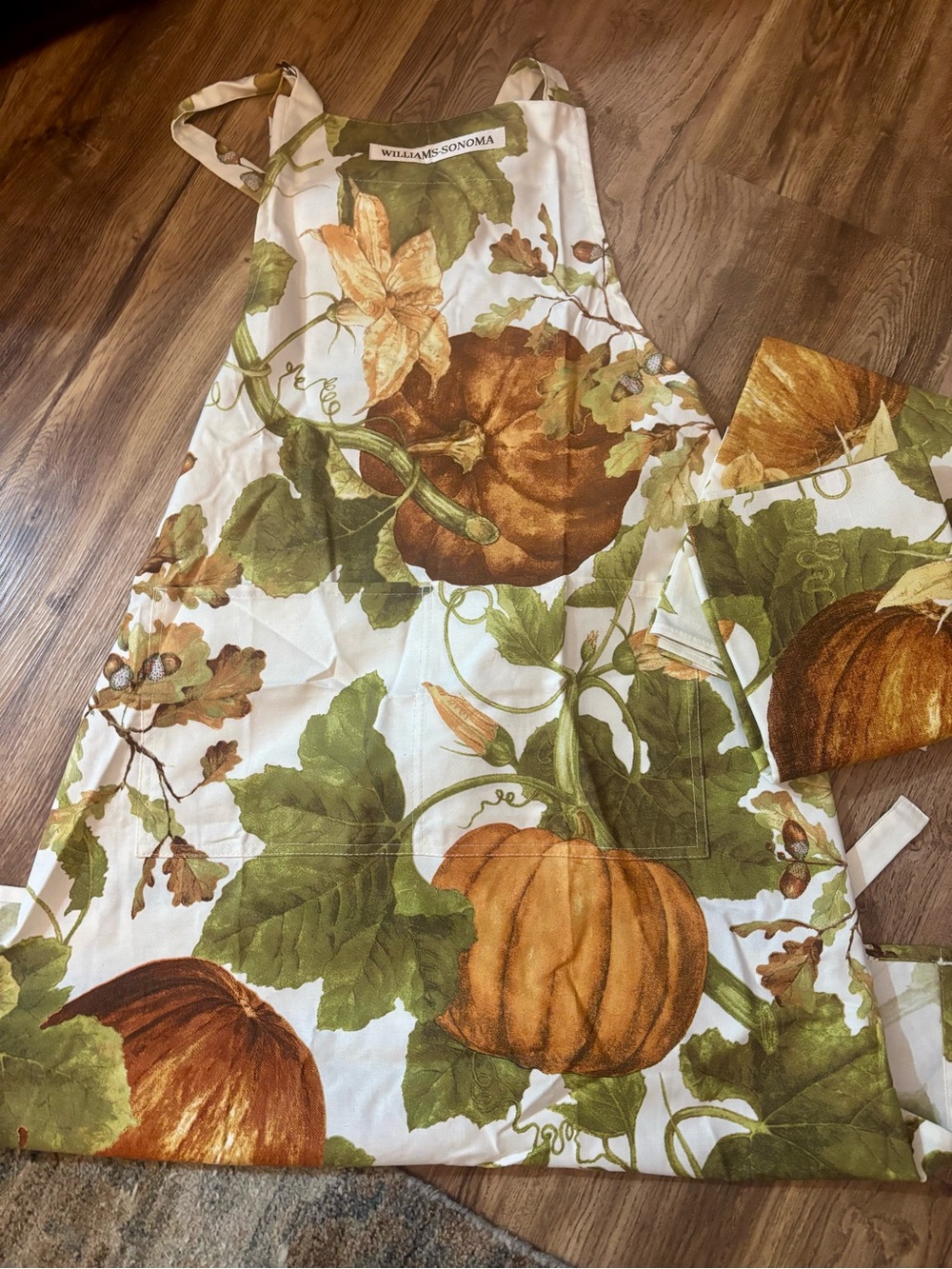 Williams Sonoma Pumpkin & Vine Cotton Apron in Green and Orange